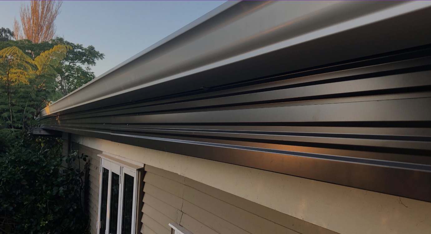 Fascia